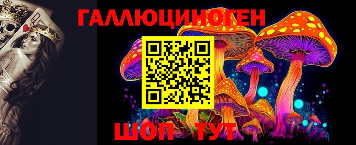 Касимов  Галлюциногенные грибы Cubensis  Вход с VPN 